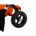   Golz FS17